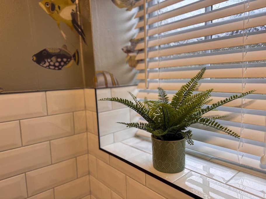 Beautiful, Relaxing Home In Central Saltaire Ngoại thất bức ảnh
